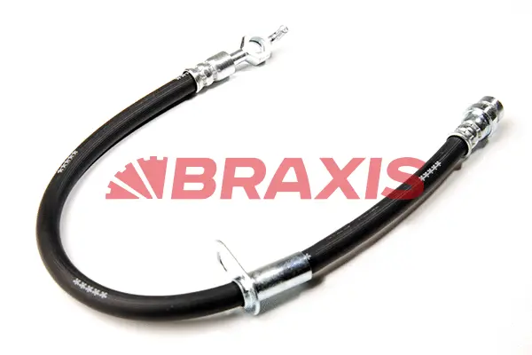 Brake Hose (AH0210)