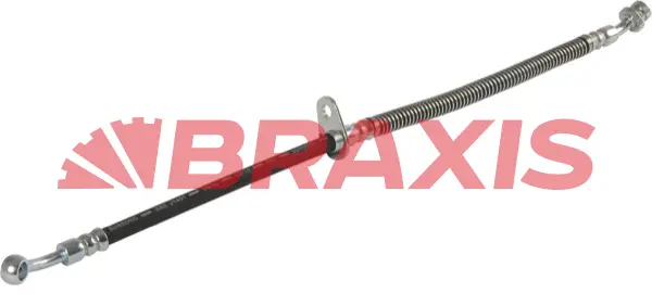 Brake Hose (AH0624)