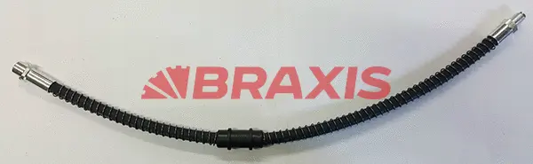 Brake Hose (AH0740)