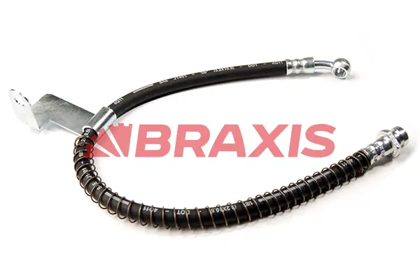 Brake Hose (AH0266)