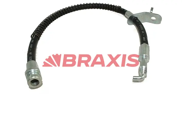 Brake Hose (AH0536)
