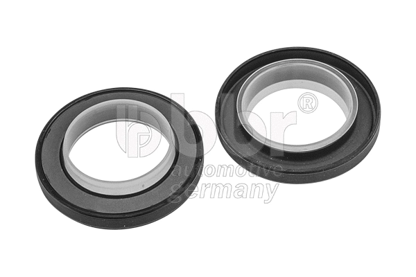 Shaft Seal, crankshaft (001-30-13331)