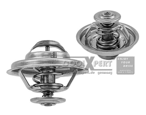 Thermostat, coolant (002-60-03740)