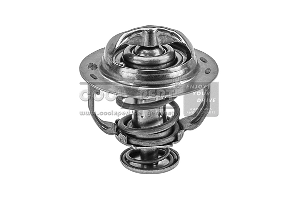 Thermostat, coolant (002-60-16404)