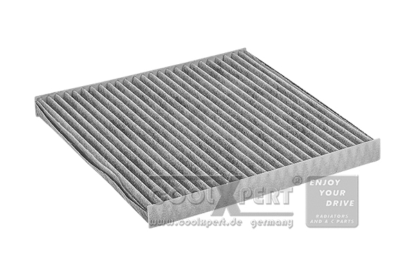 Filter, cabin air (001-10-18745)