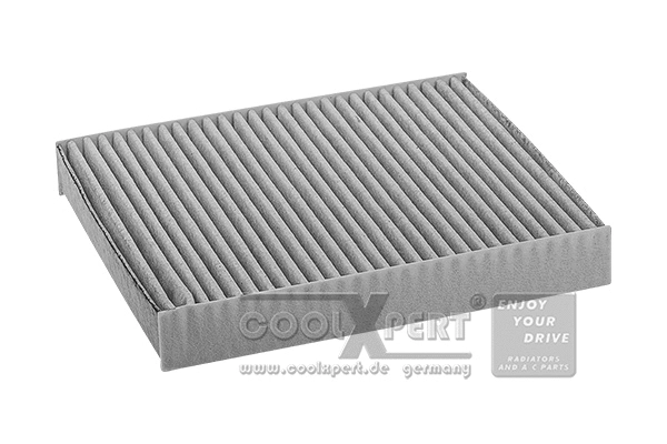 Filter, cabin air (042-20-03452)