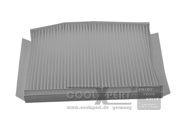 Filter, cabin air (007-20-01769)