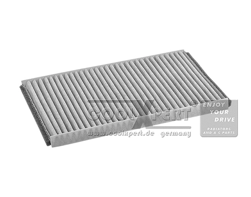 Filter, cabin air (029-20-03438)