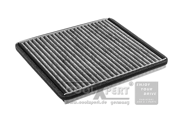 Filter, cabin air (001-10-18737)