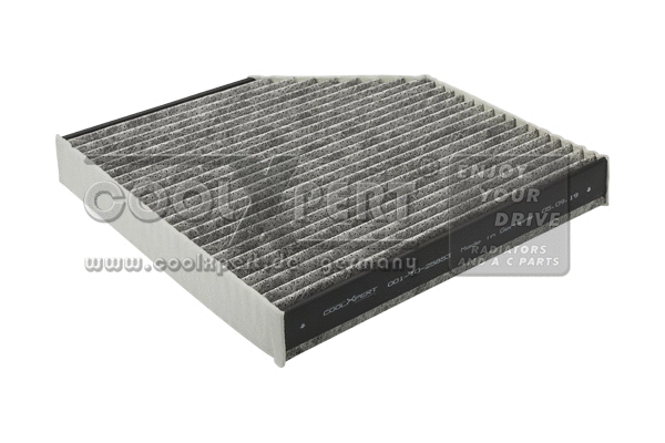 Filter, cabin air (001-10-25853)