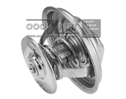 Thermostat, coolant (003-60-10262)