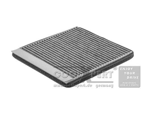Filter, cabin air (033-20-03369)