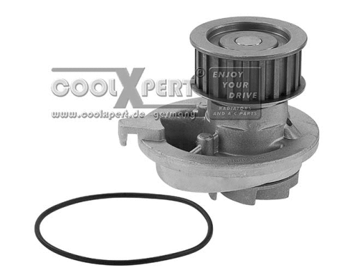 Water Pump, engine cooling (006-60-03808)