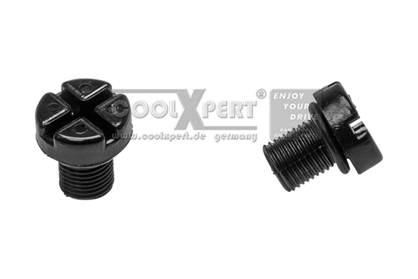 Breather Screw/Valve, radiator (001-10-18374)