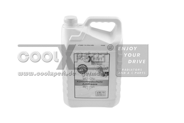 Antifreeze (001-10-25604)
