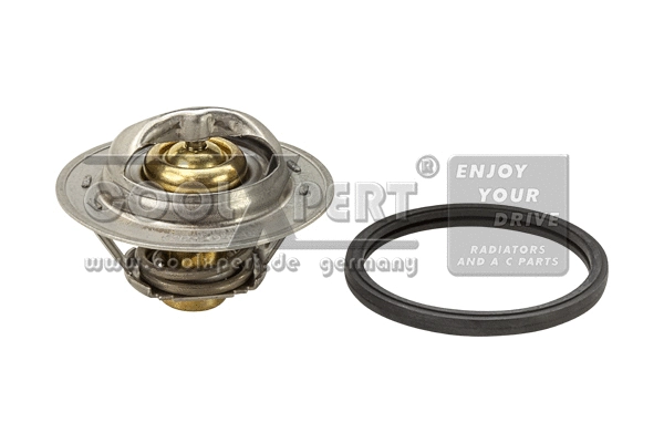 Thermostat, coolant (029-60-16417)