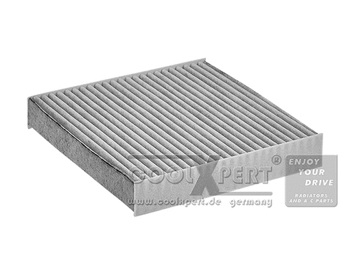 Filter, cabin air (038-20-03391)