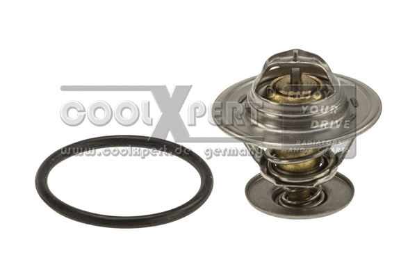 Thermostat, coolant (002-60-00166)