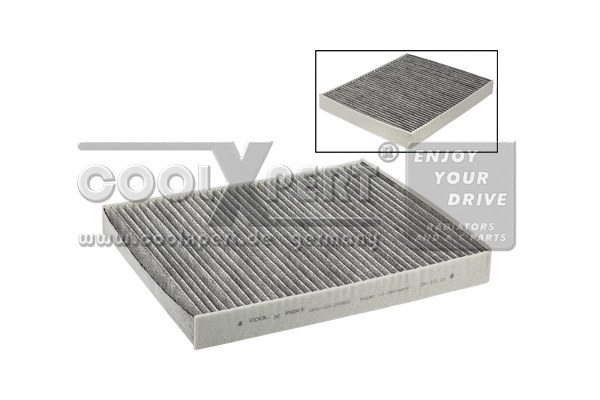 Filter, cabin air (001-10-25858)