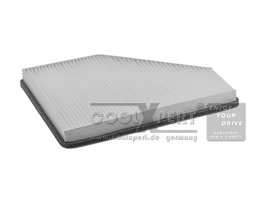 Filter, cabin air (029-20-03195)