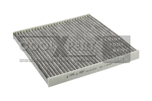 Filter, cabin air (036-20-03456)
