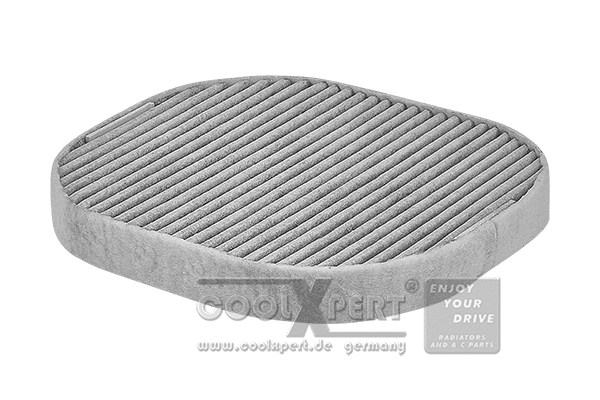 Filter, cabin air (038-20-03395)