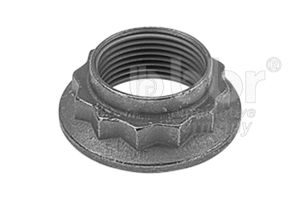 Axle Nut, drive shaft (001-10-19418)