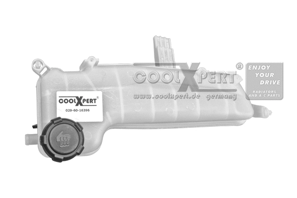 Expansion Tank, coolant (029-60-16396)