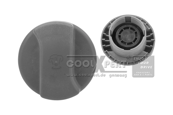 Cap, coolant tank (001-10-19481)