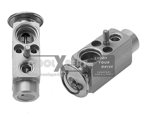 Expansion Valve, air conditioning (001-60-00670)