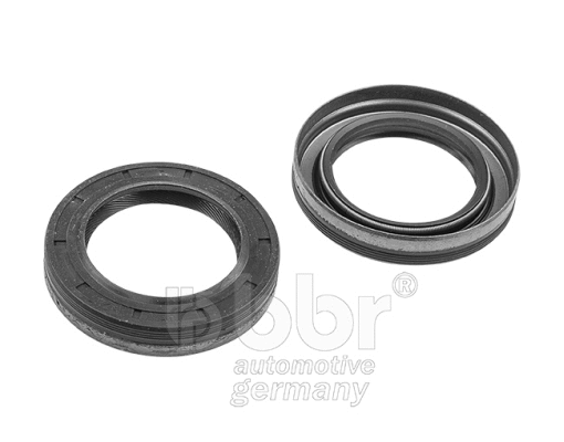Shaft Seal, crankshaft (001-30-14110)