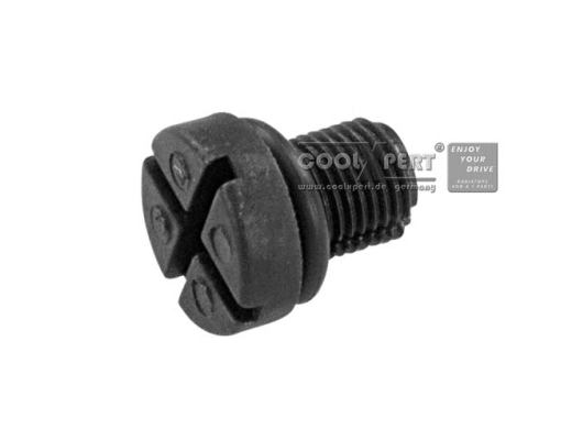 Breather Screw/Valve, radiator (003-60-13389)