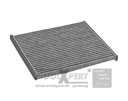 Filter, cabin air (036-20-03362)