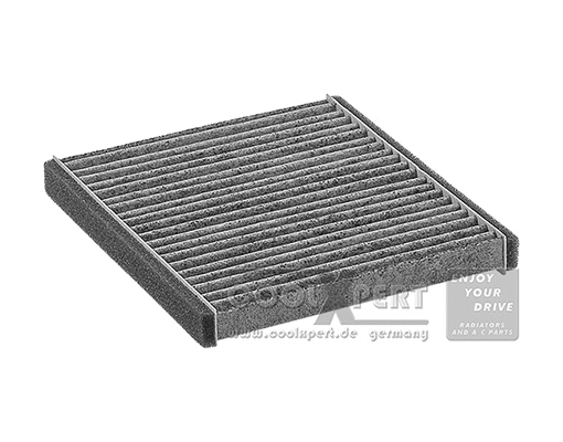 Filter, cabin air (001-10-18699)