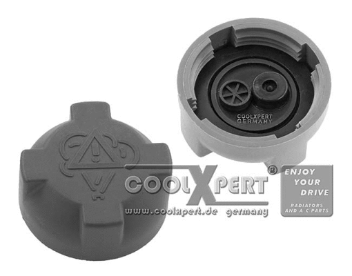 Cap, coolant tank (002-60-02032)