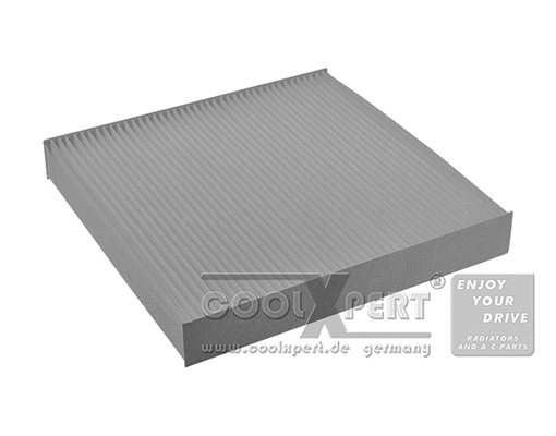 Filter, cabin air (038-20-03169)