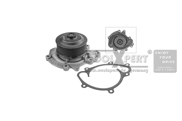 Water Pump, engine cooling (001-10-17310)