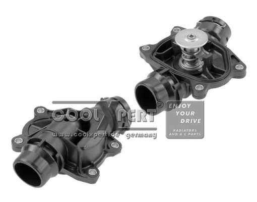 Thermostat, coolant (003-60-13882)