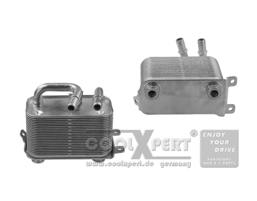 Oil Cooler, engine oil (003-60-16006)