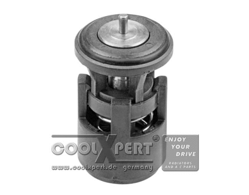 Thermostat, coolant (002-60-10031)
