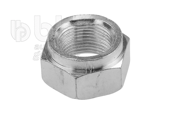Axle Nut, drive shaft (002-30-10063)