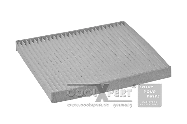 Filter, cabin air (036-20-03247)