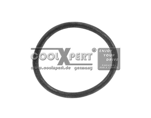 Gasket, coolant flange (002-60-03838)