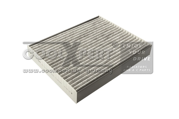 Filter, cabin air (001-10-25859)