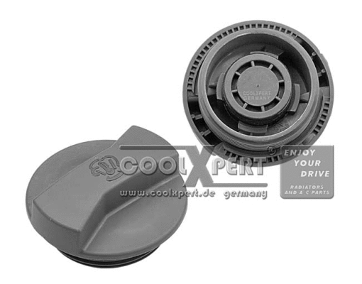 Cap, coolant tank (002-60-01041)