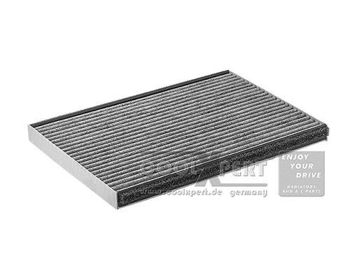 Filter, cabin air (040-20-03454)