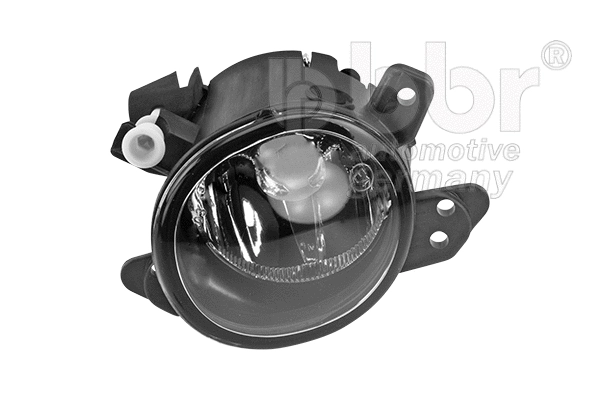 Front Fog Light (001-80-13589)