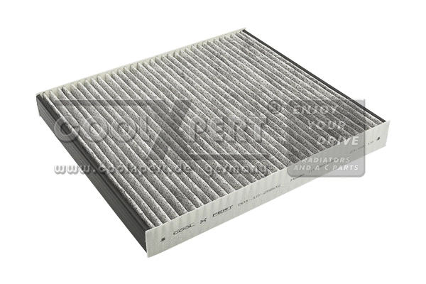 Filter, cabin air (001-10-25602)