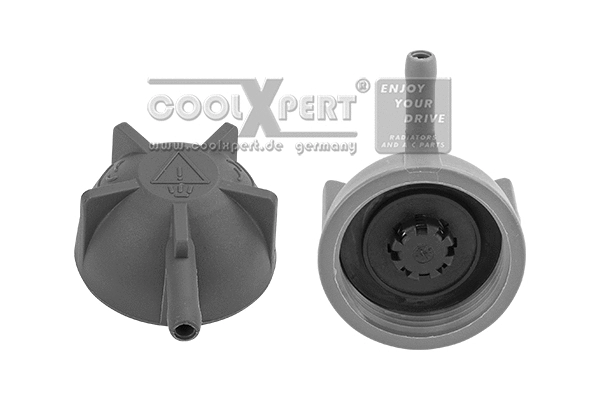 Cap, coolant tank (002-60-04989)