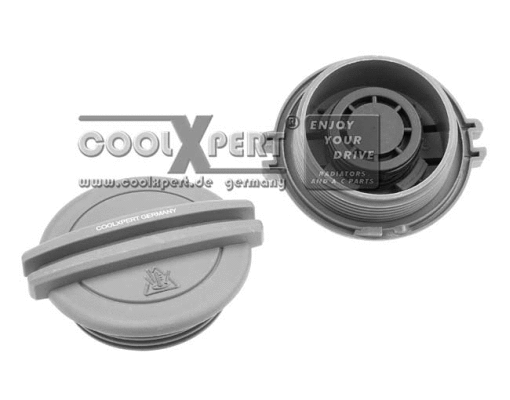 Cap, coolant tank (002-60-13458)
